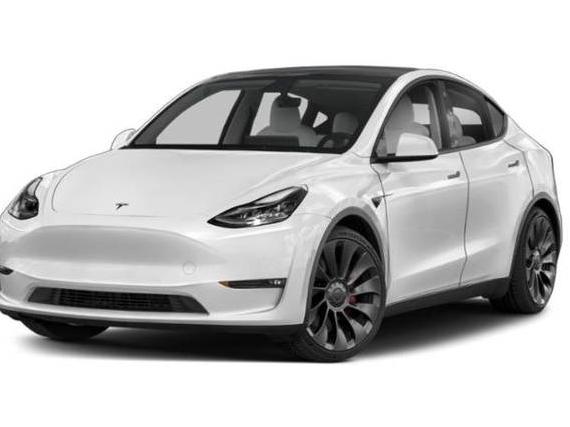 TESLA MODEL Y 2021 5YJYGDEE1MF160129 image